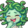 Laughing